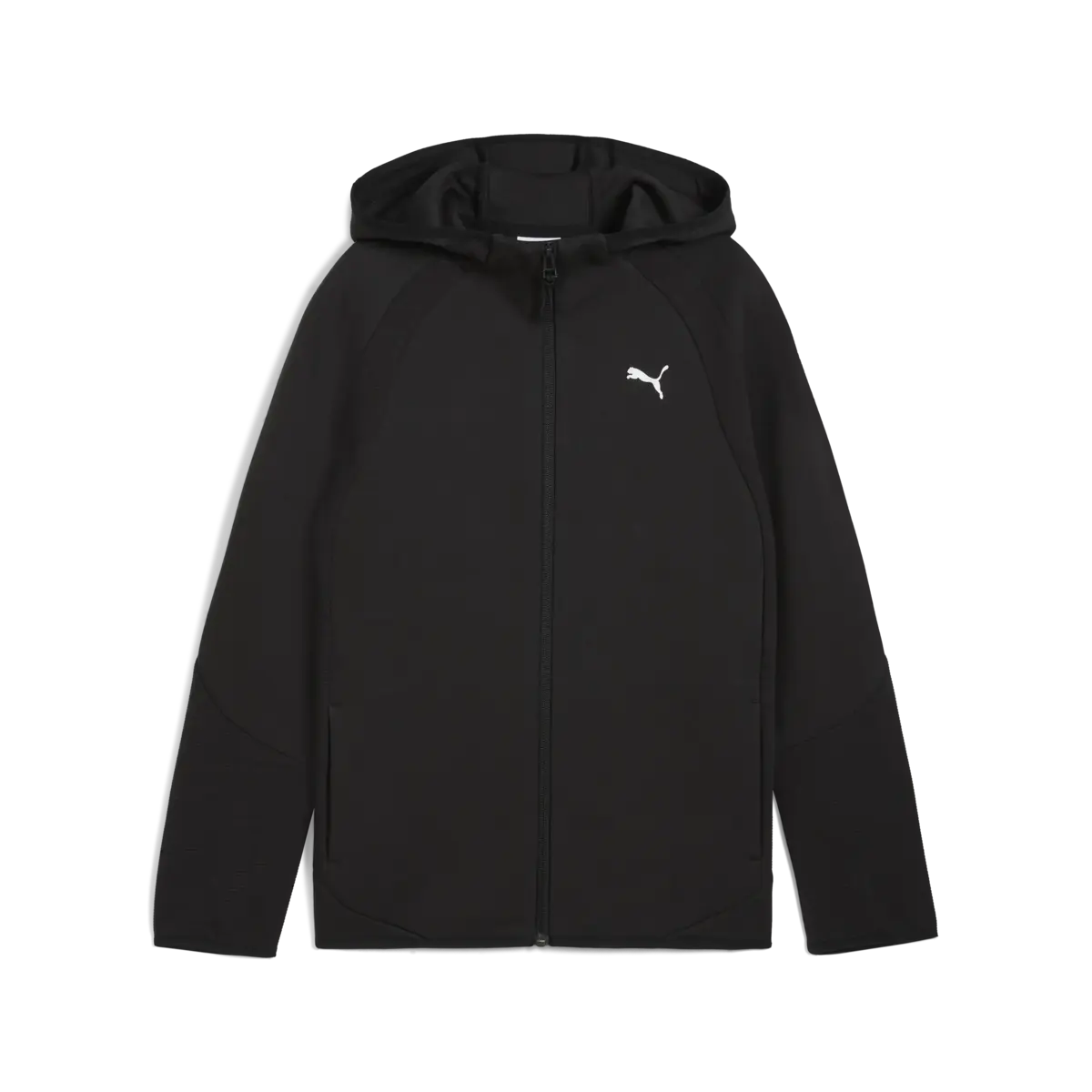 Puma EVOSTRIPE Full-Zip Hoodie Siyah Unisex Sweatshirt