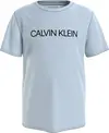 Calvin Klein INSTITUTIONAL T-SHIR Erkek Mavi T-Shirt