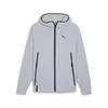 PUMATECH Track Jacket WV Gri Erkek Fermuarlı Ceket
