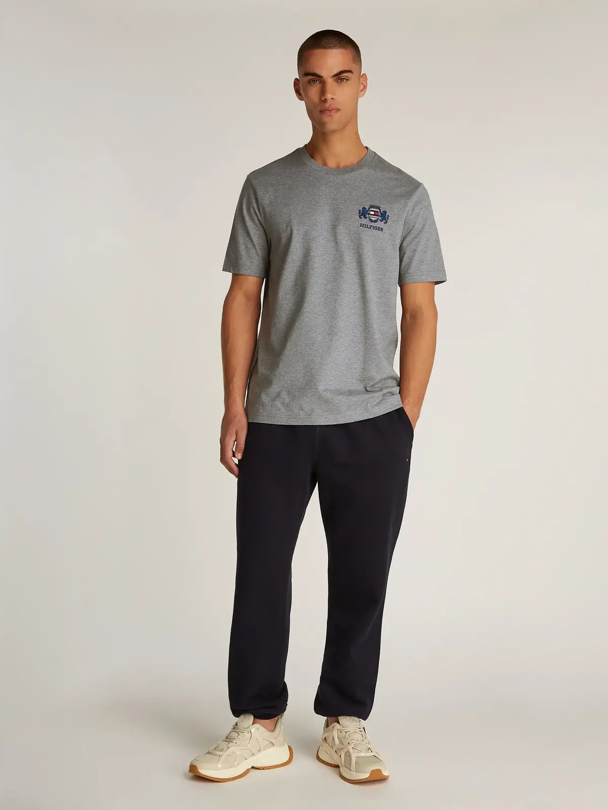 HILFIGER SMALL CREST, P91