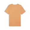 Puma AMG Logo Tee Turuncu Erkek T-Shirt