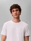 Calvin Klein SS BADGE 30S JERSEY Erkek Tişört