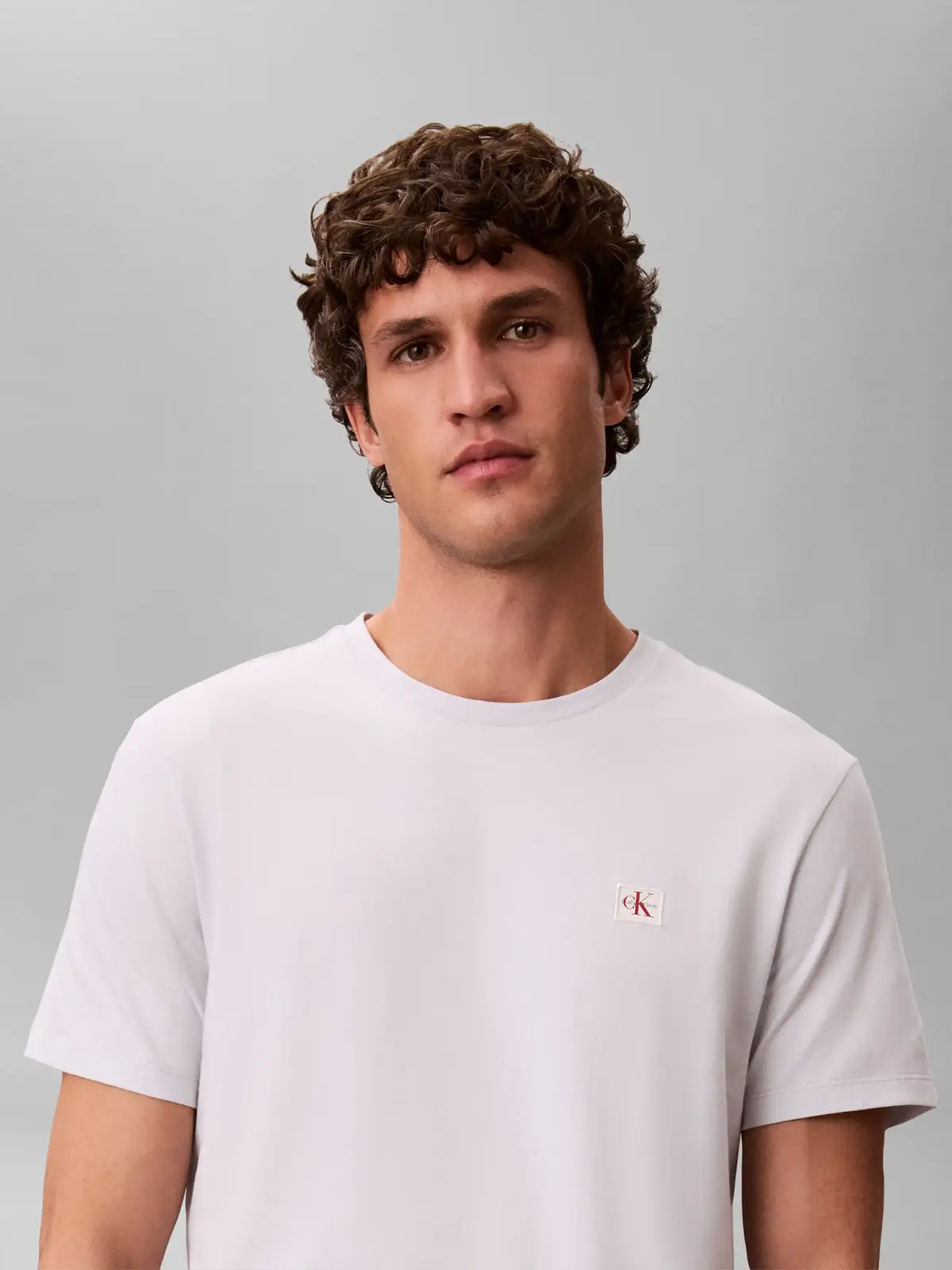 Calvin Klein SS BADGE 30S JERSEY Erkek Tişört