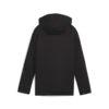 Puma EVOSTRIPE FZ Hoodie DK Siyah Unisex Sweatshirt