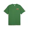 Puma TEAM Graphic Tee Yeşil Erkek Tişört