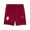 Puma GSK EVOSTRIPE Shorts GALATASARAY EVOSTRIPE Erkek Şort