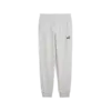 ESS Small No. 1 Logo Sweatpants TR cl