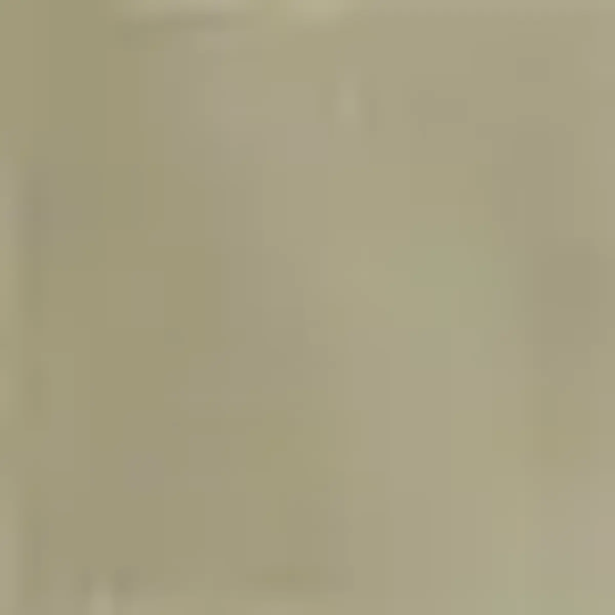 Timberland BROOKLINE Twill Cargo Pant Yeşil Erkek Eşofman Altı & Pantolon