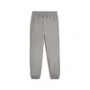 Puma DESERT ROAD Cargo Pants Gri Erkek Eşofman Altı