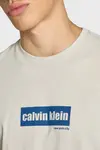 Calvin Klein SS 30s EU CALVIN LINE BOGO GRAPH Bej Erkek Tişört