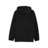 Puma PUMATECH Half Zip Hoodie Siyah Erkek Sweatshirt