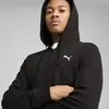 Puma ESS Full-Zip Hoodie Siyah Erkek Sweatshirt