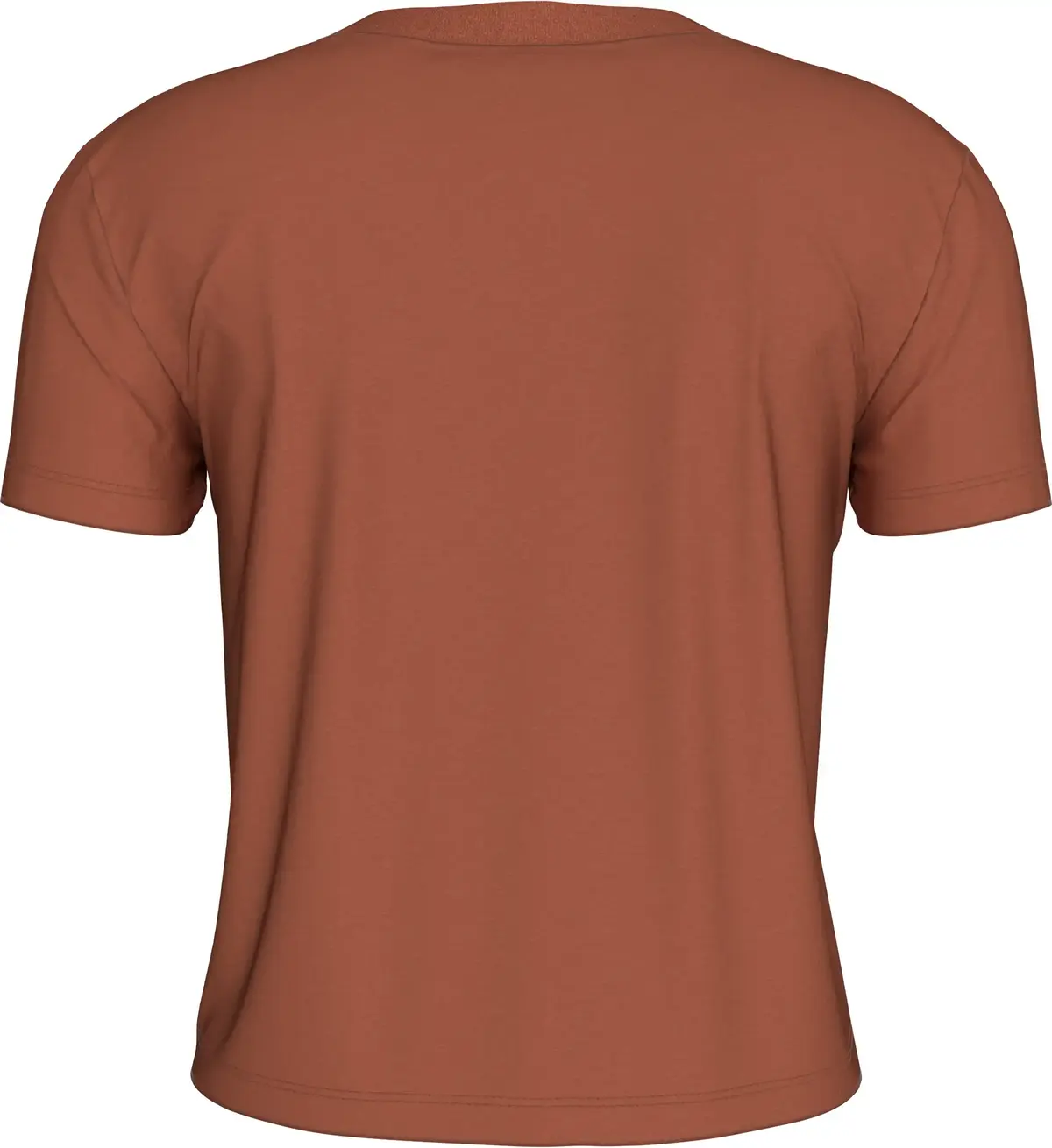 Calvin Klein WASHED PUFF PRINT BA, GAM Kahverengi Kadın T-Shirt & Polo