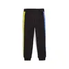 Puma X TROLLS T7 Track Pants TR Siyah Unisex Eşofman Altı