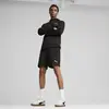 Puma EVOSTRIPE Shorts Siyah Erkek Şort