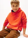 MINI CORP HOODIE, XM2