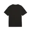 Puma OPEN ROAD Tee Siyah Erkek T-Shirt