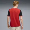 Puma ÖFB Home Jersey Replica Kırmızı Erkek Forma