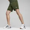Puma EVOSTRIPE Shorts 8 DK Erkek Şort