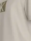 Calvin Klein SMALL CK BOX TEE, PDH Krem Erkek T-Shirt & Polo