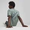 PUMA WARDROBE ESS Graphic Tee Yeşil Erkek T-Shirt