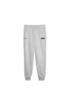 Puma MAPF1 ESS Fleece Pants Gri Erkek Eşofman Altı