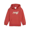 Puma X HK&FR Relaxed Hoodie Kırmızı Kadın Sweatshirt