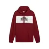 Puma SQUAD Hoodie Bordo Erkek Sweatshirt