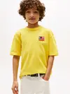 HILFIGER FLAG TERRY, ZGQ