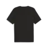 Puma GRAPHICS Year of Sports Tee Siyah Erkek T-Shirt & Polo