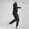 Puma EVOSTRIPE FZ Hoodie Siyah Kadın Sweatshirt