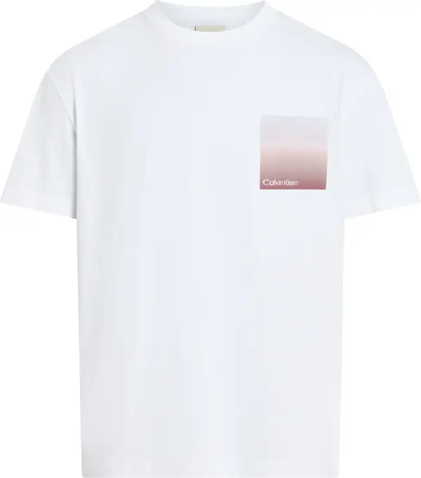 Calvin Klein OMBRE BONDED BOX LOG, YAF Beyaz Erkek T-Shirt & Polo