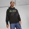 Puma MAPF1 Statement Hoodie Siyah Erkek Hoodie