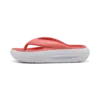 Puma Puma Flatter flip Turuncu Kadın Terlik