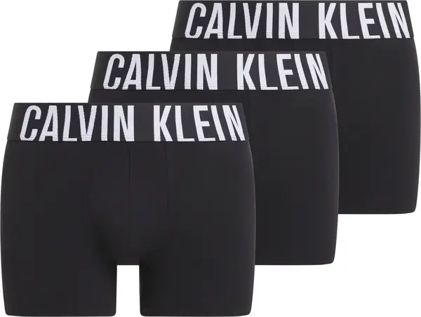 Calvin Klein TRUNK 3PK Erkek Siyah Boxer Set