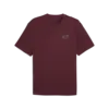 Puma GRAPHIC Tee Erkek T-Shirt & Polo