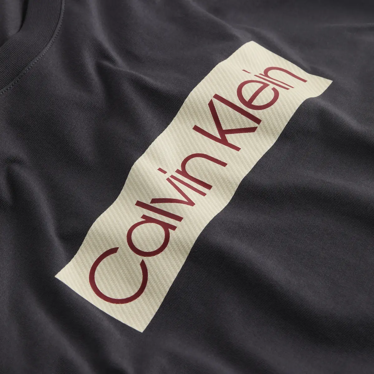 Calvin Klein Siyah Erkek T-Shirt & Polo