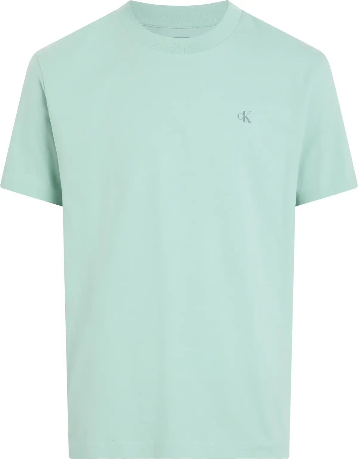 Calvin Klein PAINTED CALVIN KLEIN, MR5 Mavi Erkek T-Shirt & Polo