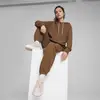 Puma INFUSE Relaxed Hoodie TR Kahverengi Kadın Sweatshirt