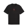 Puma ACM FtblStatement Tee/Jersey Siyah Erkek T-Shirt
