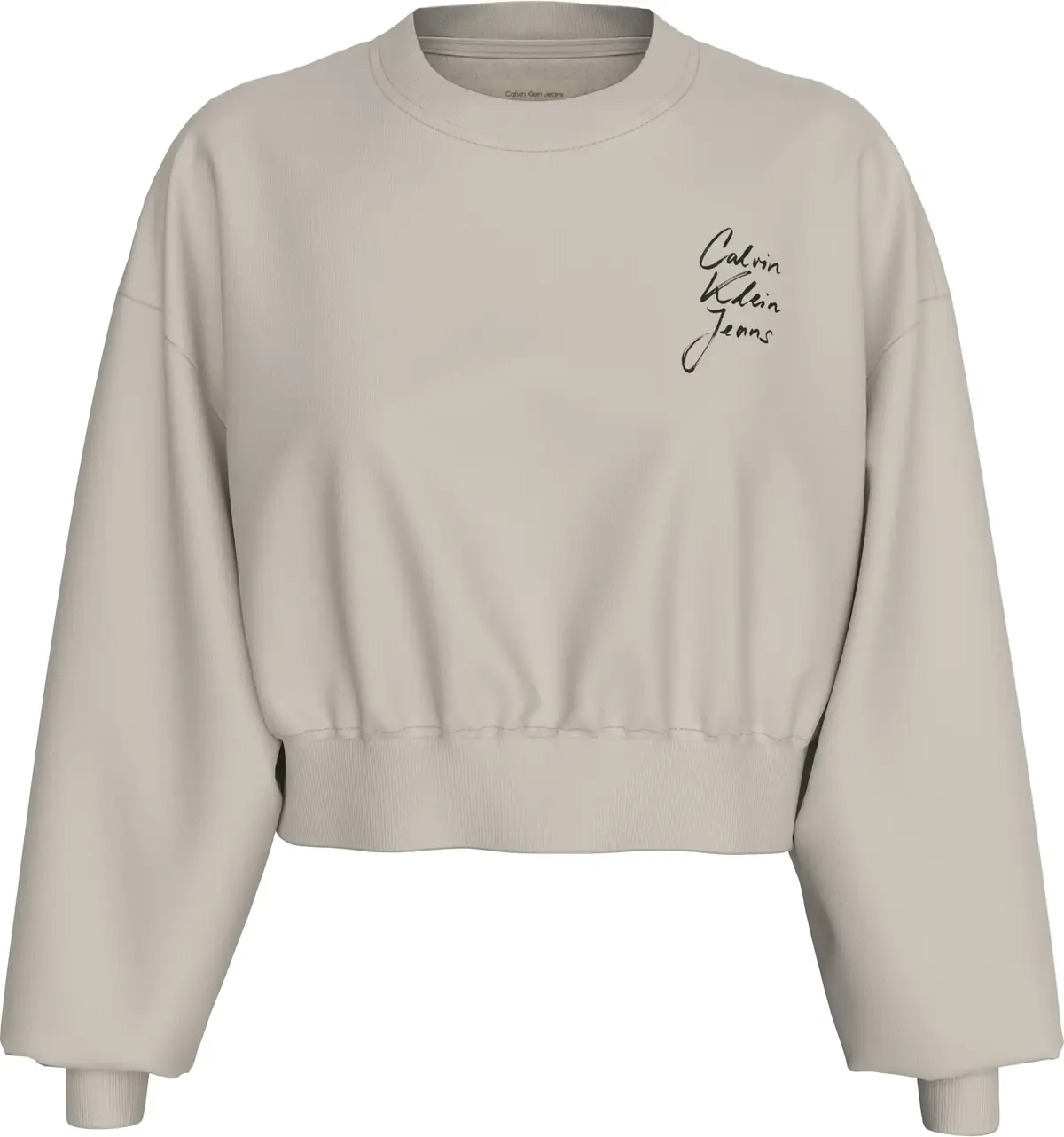 Calvin Klein Kahverengi Kadın Sweatshirt & Hoodie