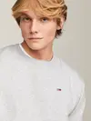 Tommy Hilfiger  TJM REGULAR FLEECE C Erkek Gri Sweatshirt