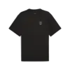 Puma Pivot Unisex Tee 2.0 Siyah Erkek Tişört