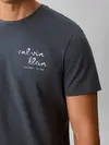 Calvin Klein SS 30S EU CK TRVL LI, CEG Mavi Erkek T-Shirt