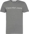 Calvin Klein CORE INSTITUTIONAL L Erkek Gri T-Shirt