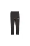 Puma EVOSTRIPE Pants DK Siyah Erkek Eşofman Altı
