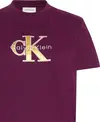 Calvin Klein SS CLASSIC MONOLOGO METALLIC CNE Kadın Kırmızı T-Shirt