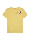 FLAG FUN TEE SS, ZF0