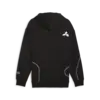 Puma BMW MMS STATEMENT HOODIE Siyah Erkek Sweatshirt