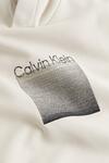 Calvin Klein OMBRE EMBROIDERED LO, ACE Krem Erkek Hoodie